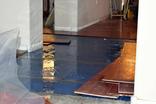 Professional Burst Pipe Cleanup technician working in Bowdoinham, ME